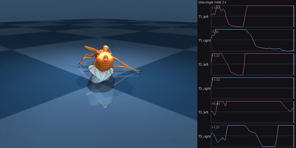 The last frame of the smoke trial: the fly on its back with its legs in the air, and the six tibia angle traces beside it